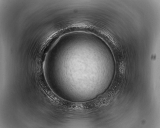 X0000100950968200807011305