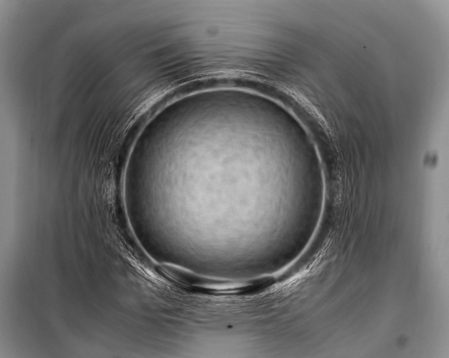 X0000100950969200807011305