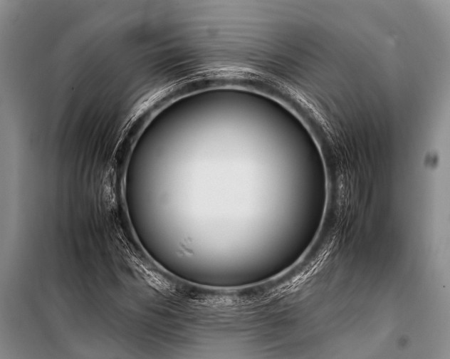 X0000100950970200807011305