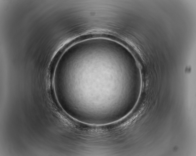 X0000100950973200807011305