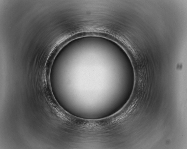 X0000100950974200807011305