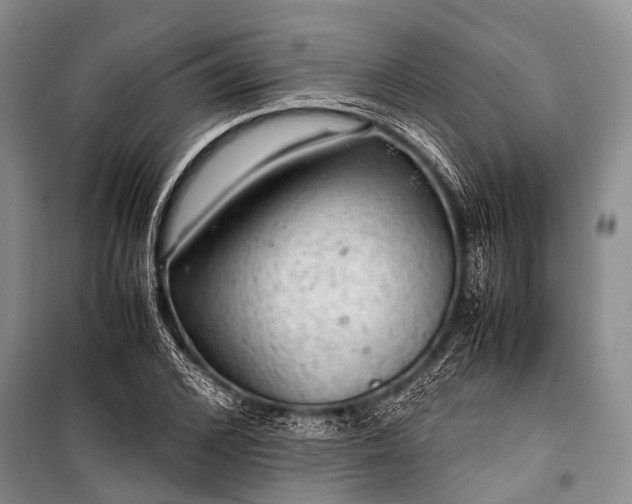X0000100950976200807011304