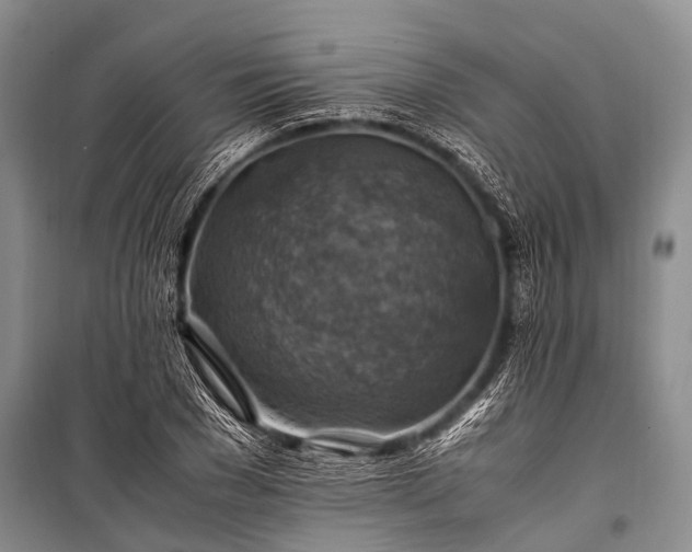 X0000100950977200807011304