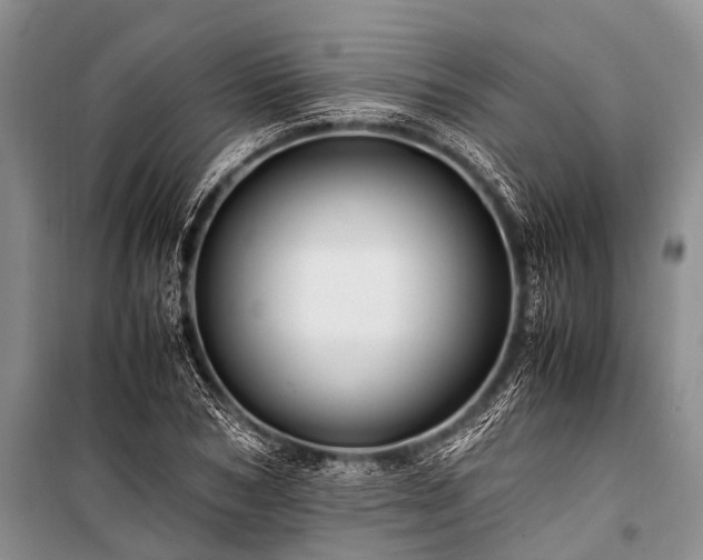 X0000100950978200807011304