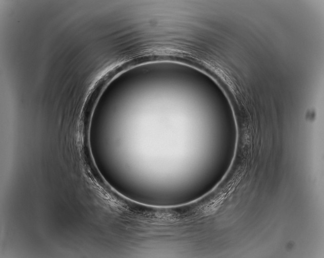 X0000100950979200807011304