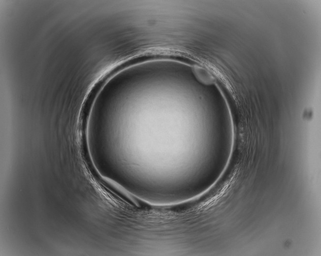 X0000100950981200807011304