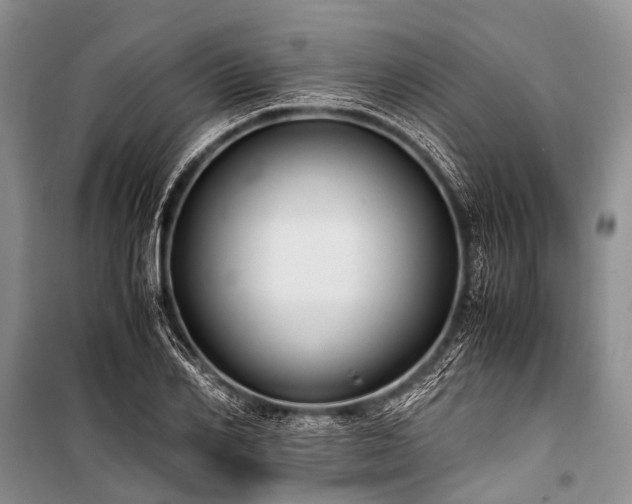 X0000100950982200807011304