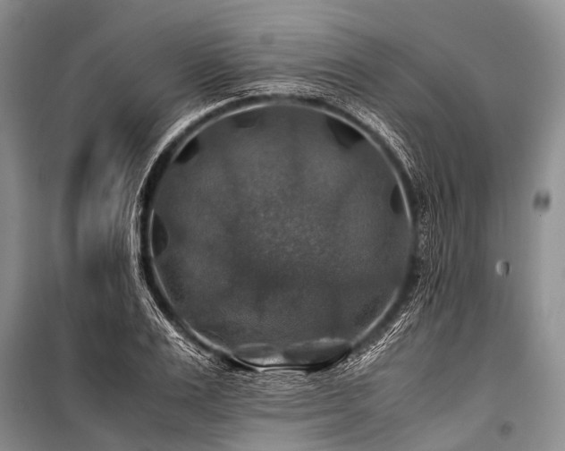 X0000100950983200807011304