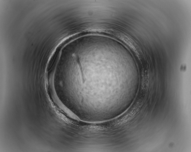 X0000100950984200807011304