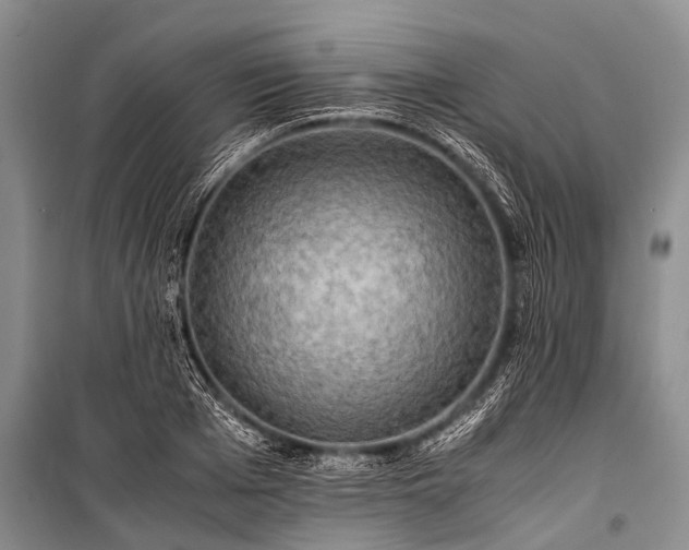X0000100950985200807011304