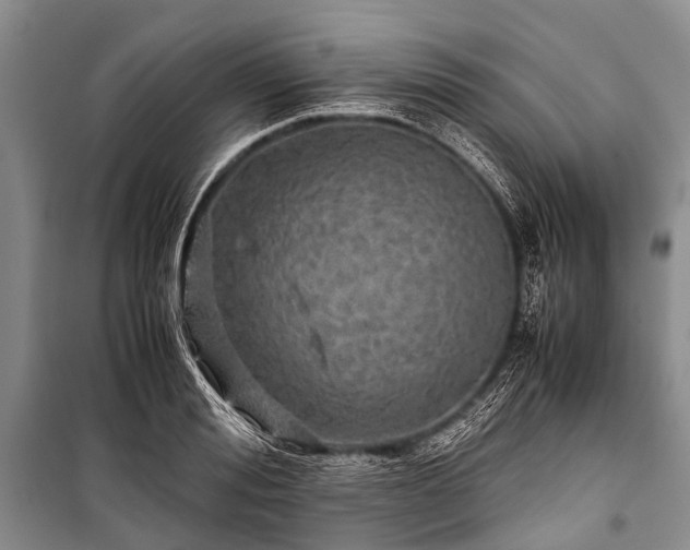 X0000100950988200807011304