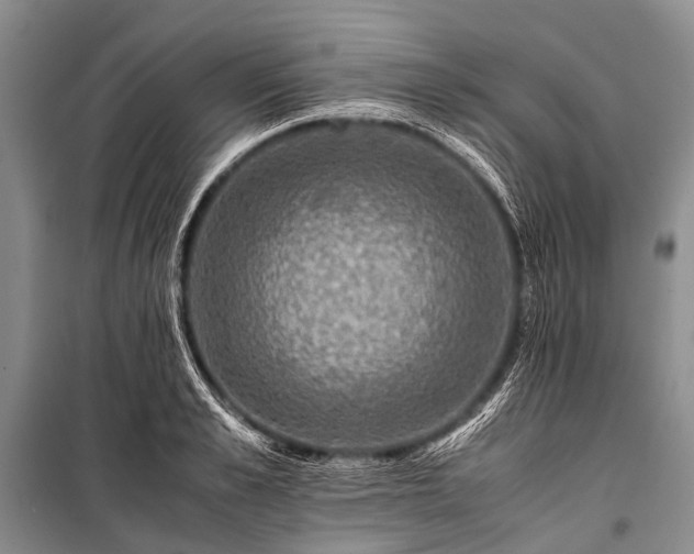 X0000100950989200807011304