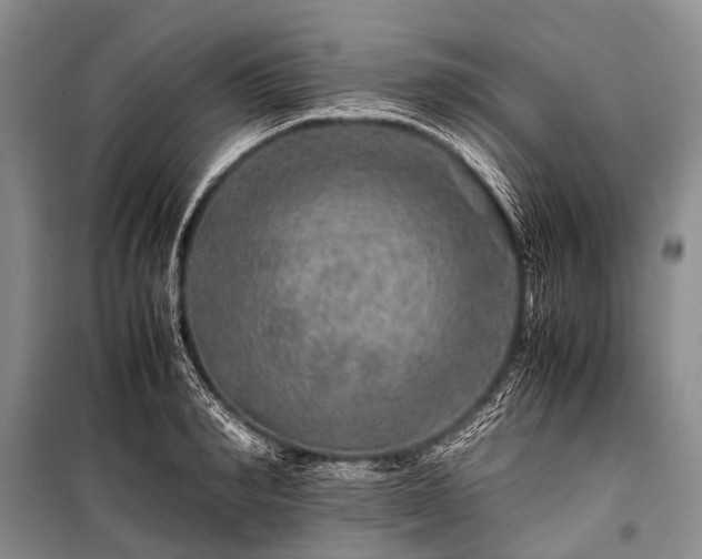 X0000100950990200807011304