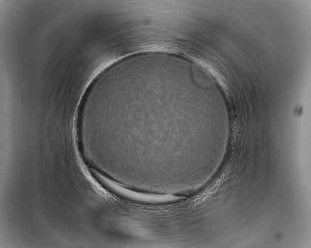 X0000100950991200807011304