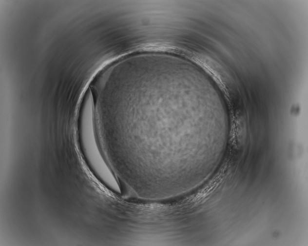 X0000100950992200807011304