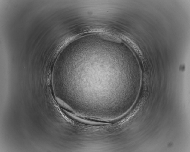X0000100950993200807011304