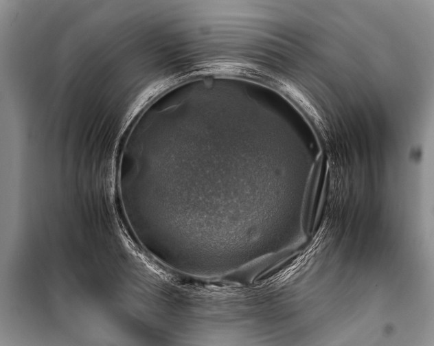 X0000100950994200807011304