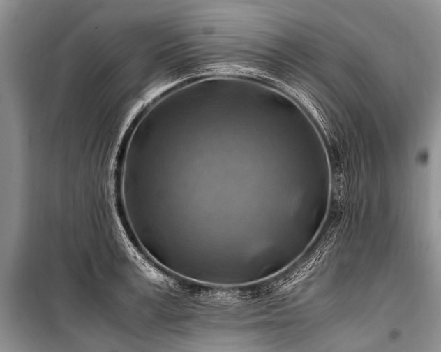 X0000100950995200807011304