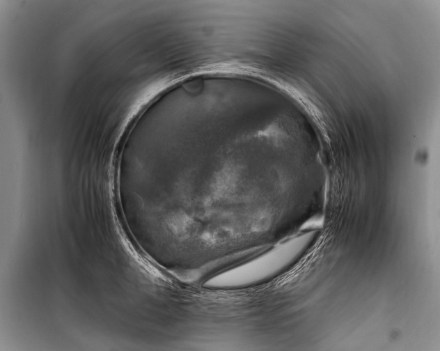 X0000100950998200807011304