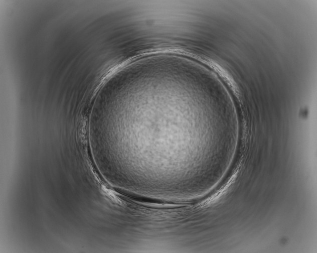 X0000100951001200807011304