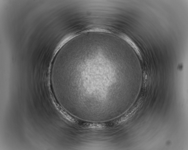 X0000100951002200807011304