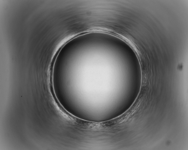 X0000100951003200807011304