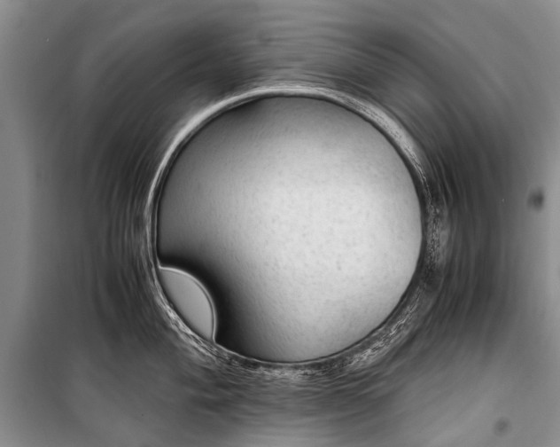 X0000100951004200807011304
