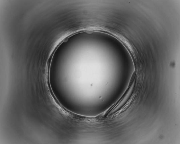 X0000100951006200807011304