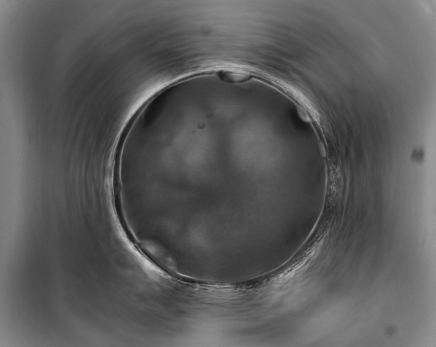 X0000100951007200807011304