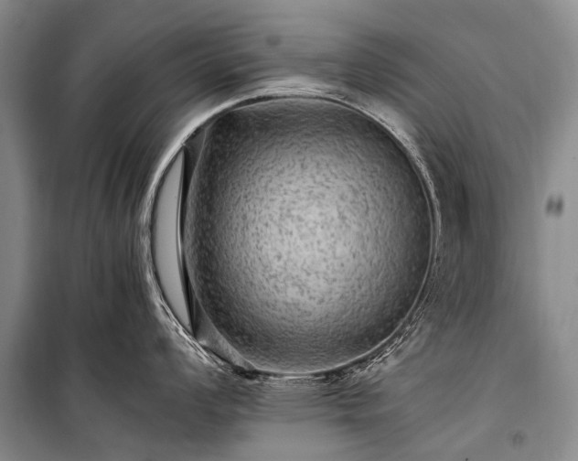 X0000100951008200807011304