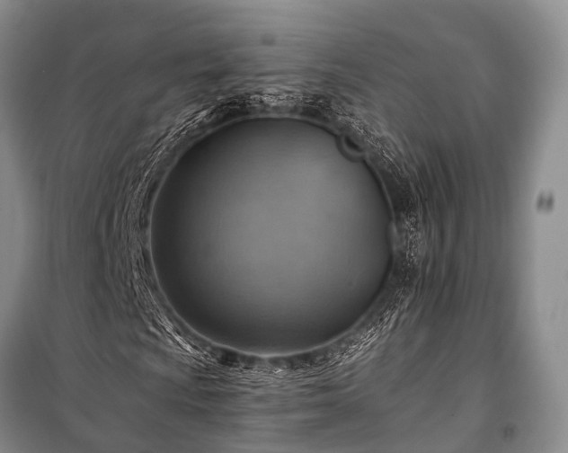 X0000100951009200807011303