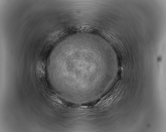 X0000100951010200807011303
