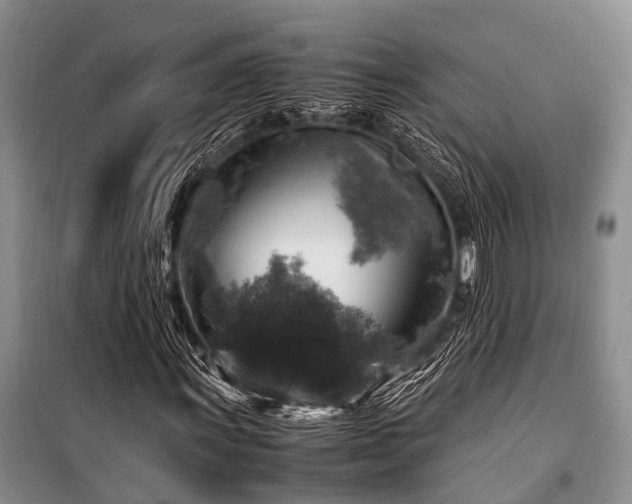 X0000100951011200807011303