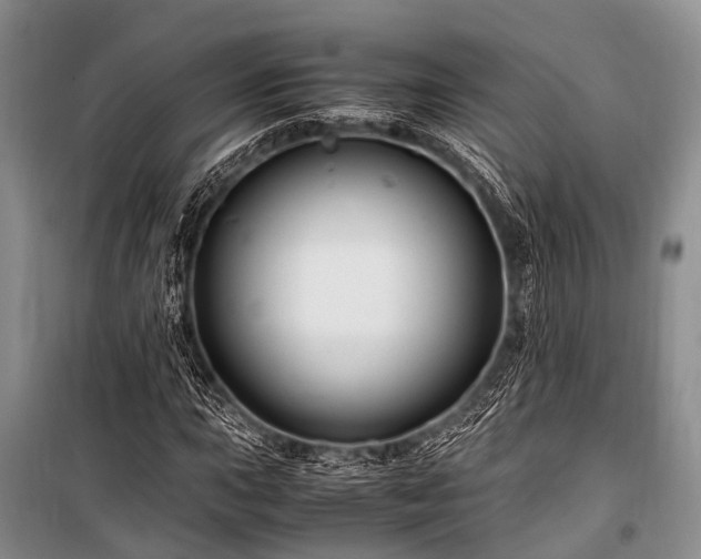 X0000100951015200807011303
