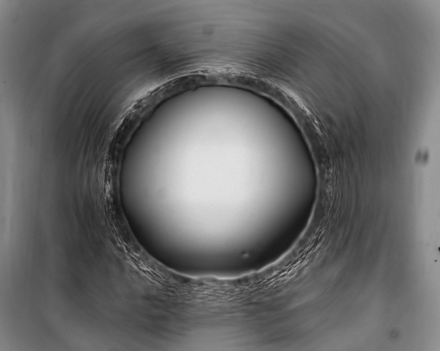X0000100951016200807011303