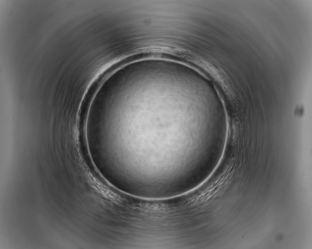 X0000100951020200807011303