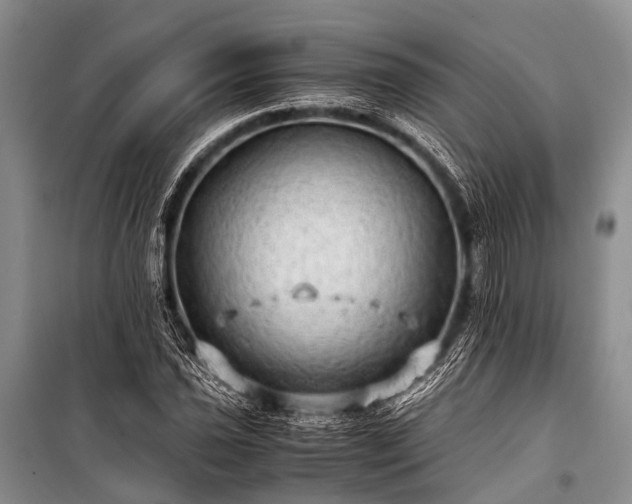 X0000100951021200807011303