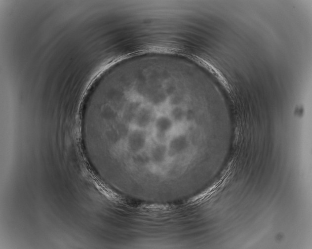 X0000100951027200807011303