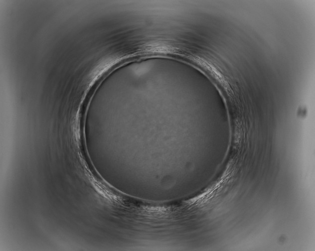 X0000100951031200807011304