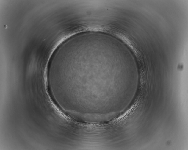 X0000100951032200807011304