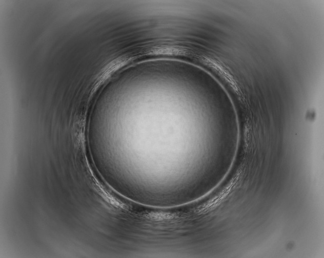 X0000100951033200807011304
