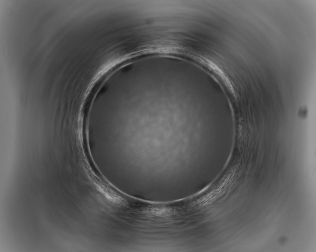 X0000100951035200807011304