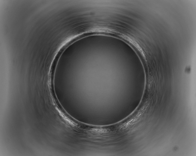 X0000100951037200807011304
