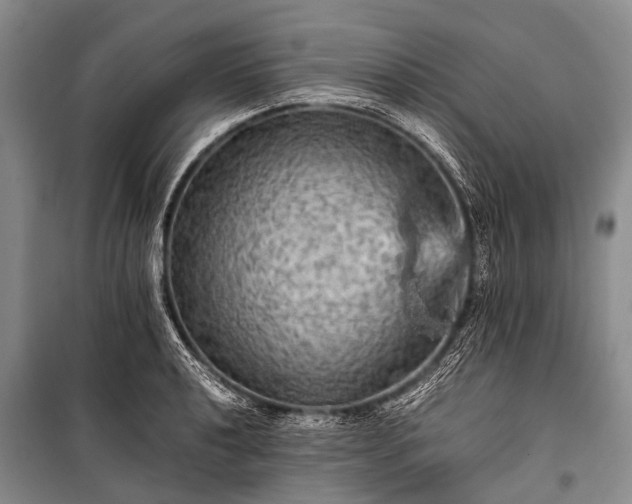 X0000100951040200807011304
