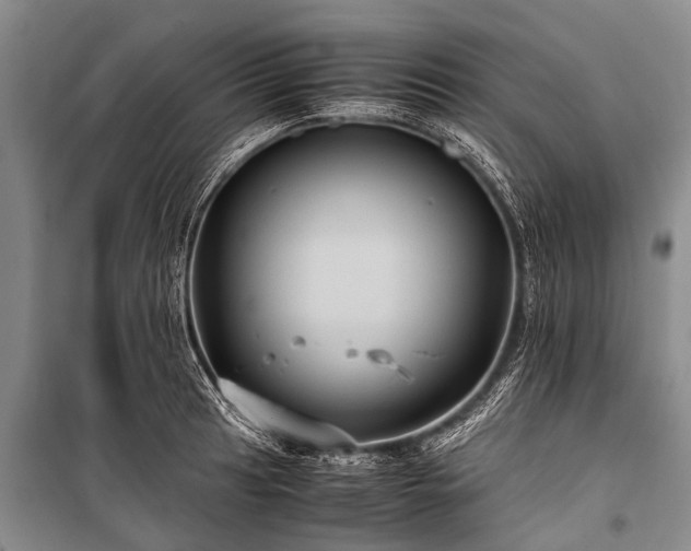 X0000100951041200807011304