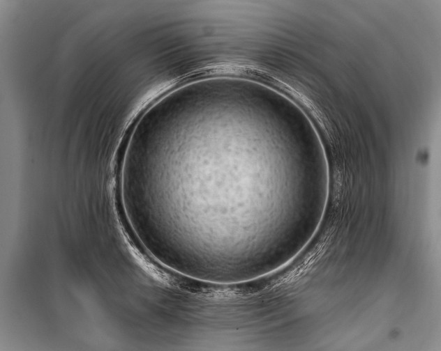X0000100951042200807011304