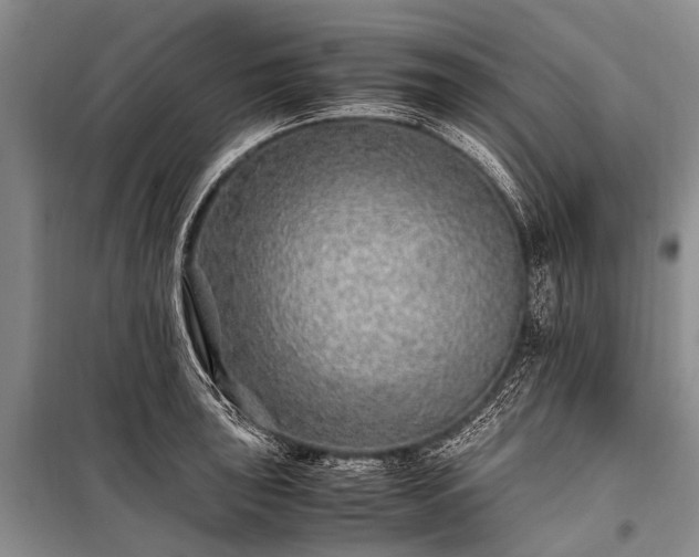 X0000100951043200807011304