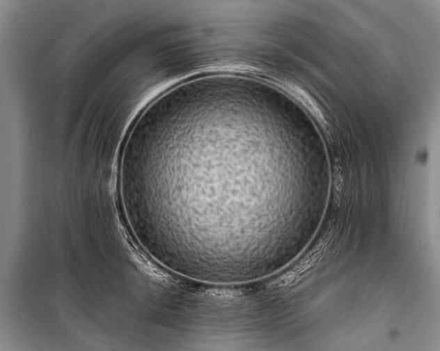 X0000100951044200807011304