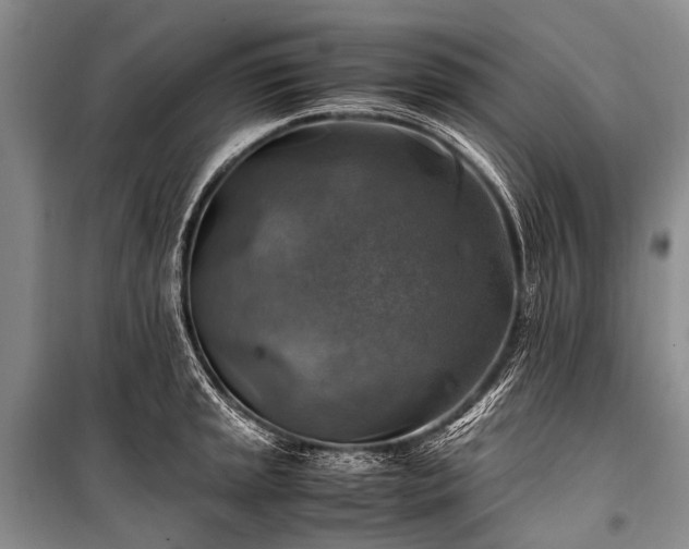 X0000100951045200807011304