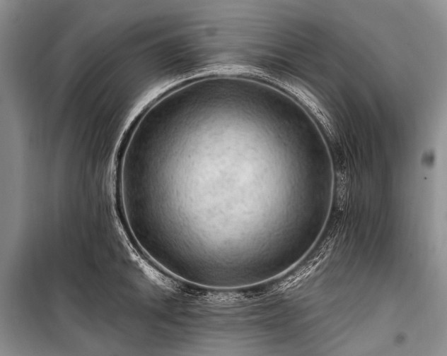 X0000100951046200807011304